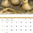 Baby Farm Animals Spiral Calendar