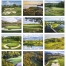Fairways &amp; Greens Spiral Calendar