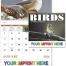 Birds of North America Calendar