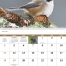 Birds of North America Calendar