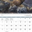 Wildlife Canvas Spiral Calendar