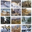 Wildlife Canvas Spiral Calendar
