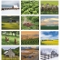 Agriculture Spiral Calendar