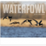 Waterfowl Spiral Calendar
