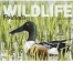 Wildlife Portraits Spiral Calendar