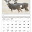 Wildlife Portraits Spiral Calendar