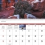 Rocky Mountains Spiral Wall Calendar