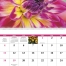 Flowers Spiral Wall Calendar