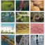View from Above Spiral Calendar