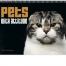 Pets with Attitude Spiral Calendar