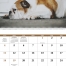 Pets with Attitude Spiral Calendar