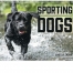 Sporting Dogs Spiral Calendar