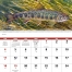 Fishing Spiral Calendar