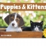 Puppies &amp; Kittens Calendar