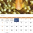 Ocean Glory Calendar