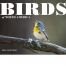 Birds of North America Calendar II