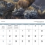 Wildlife Canvas Calendar