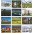 Agriculture Calendar