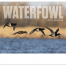 Waterfowl Calendar