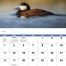 Waterfowl Calendar