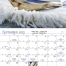 Jewish Life Calendar
