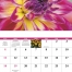 Flowers Wall Calendar