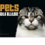 Pets with Attitude Calendar