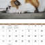 Pets with Attitude Calendar