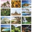 Puerto Rico Calendar