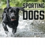 Sporting Dogs Calendar
