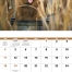 Sporting Dogs Calendar