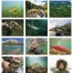 Fishing Calendar