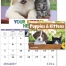 Puppies &amp; Kittens Window Calendar
