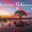 Glorious Getaways Window Calendar