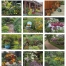 Garden Walk Window Calendar