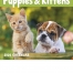 Puppies and Kittens Mini Calendar