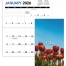 Budget Pocket Planner, Floral Impressions (3.5x6, Stapled)