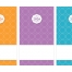 Budget Pocket Planner; Retro Summer (3.5x6, Stapled)