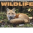 Wildlife II Spiral Calendar