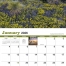 Texas Calendar