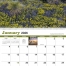 Texas Spiral Calendar
