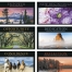 Motivations II Calendar