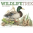 Wildlife Trek Spiral Calendar