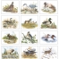 Wildlife Trek Spiral Calendar