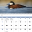 Waterfowl Spiral Calendar