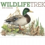 Wildlife Trek Calendar