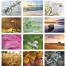 Simplicity Wall Calendar