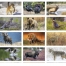 Sportsmen Press-n-Stick™ Calendar, Full Color