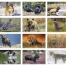 Sportsmen Press-n-Stick™ Calendar